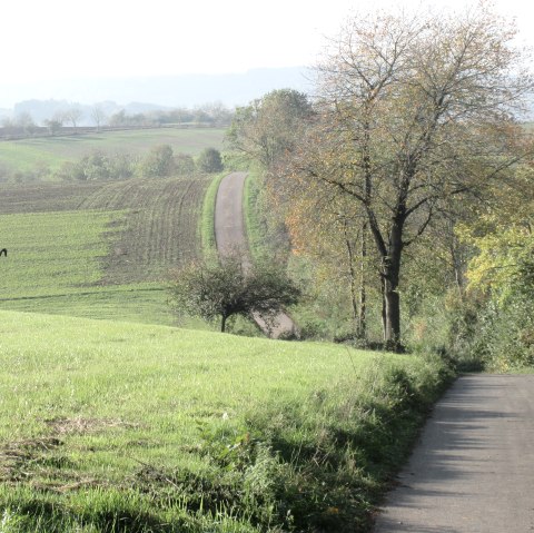 img_8409, © N. Mainz