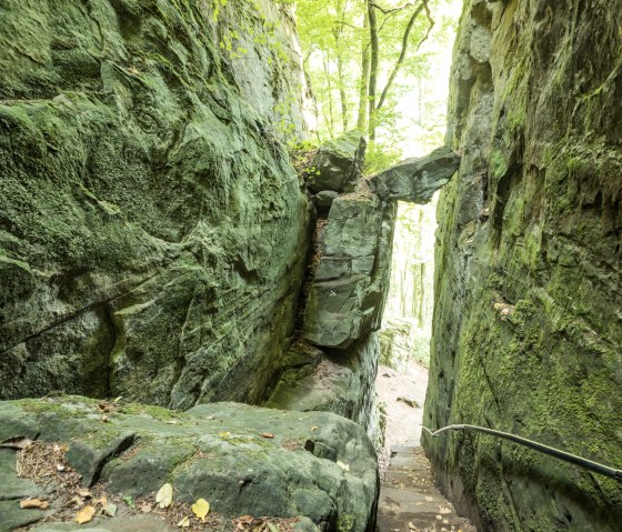 Hinab in die Teufelsschlucht, © Rheinland-Pfalz Tourismus, D. Ketz
