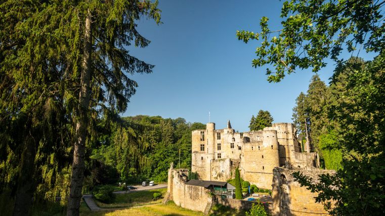 Ruine des Schlosses Beaufort umgeben von Bäumen bei klarem Himmel.