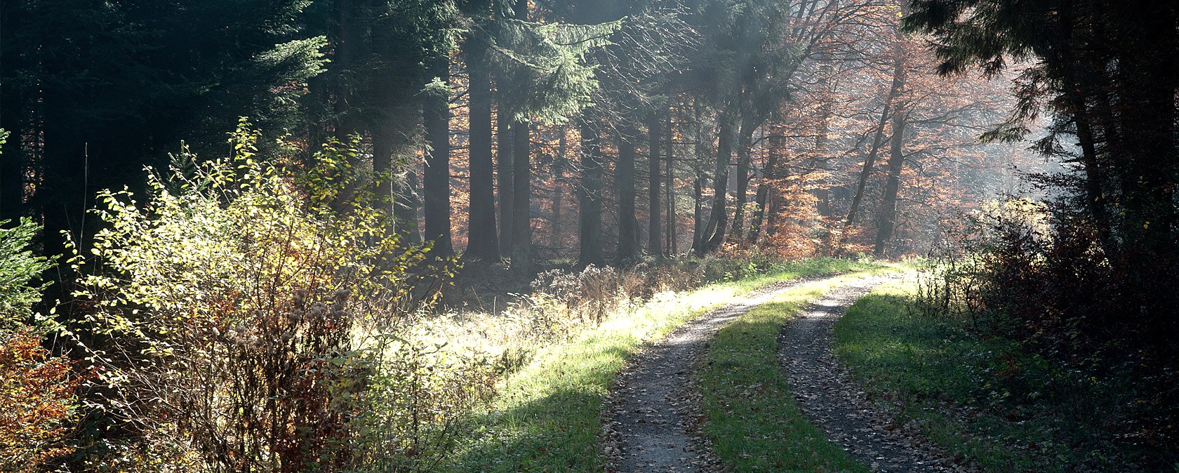 Forest path near Pr&uuml;m Castle, &copy; V. Teuschler