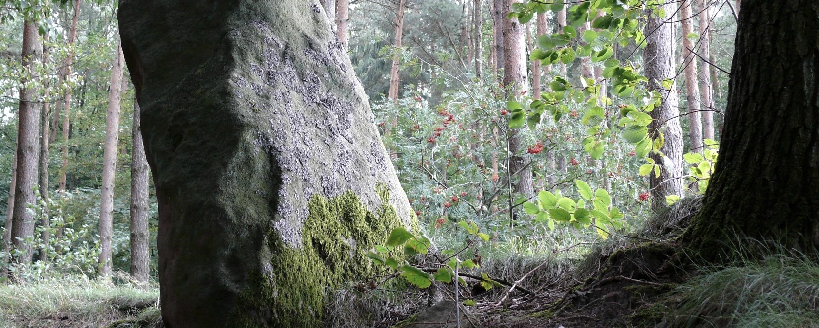 Der Langenstein bei Holsthum, &copy; Felsenland S&uuml;deifel Tourismus GmbH
