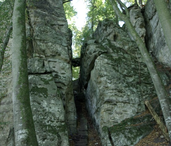 Narrow gorge with stone steps between high rock faces, surrounded by trees and foliage on the ground., &copy; Felsenland S&uuml;deifel Tourismus GmbH