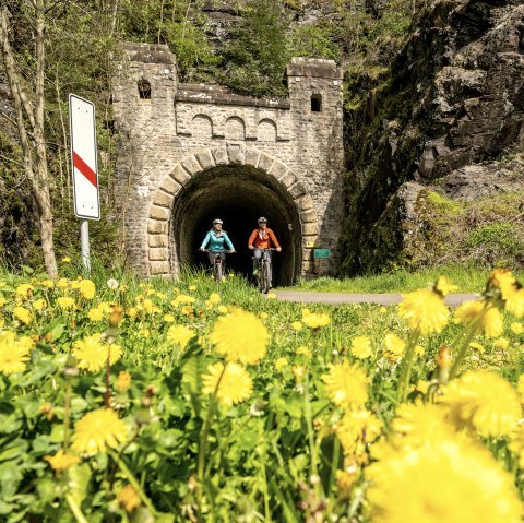 Zwei Radfahrer auf einem Weg vor einem alten Bahntunnel, umgeben von blühendem Löwenzahn und Verkehrsschildern., © Eifel Tourismus GmbH, Dominik Ketz