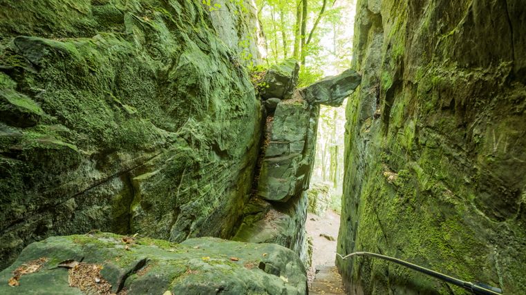Schmale Schlucht mit moosbewachsenen Felswänden und einem schmalen Pfad.