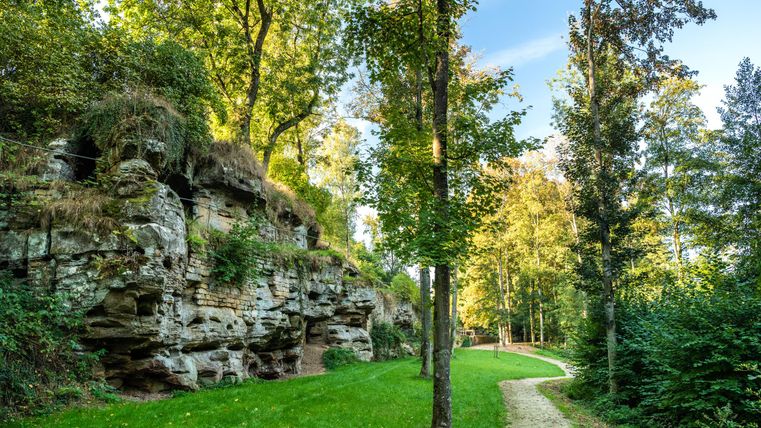 Ein schöner Weg durch einen Wald mit grünen Wiesen und großen Bäumen. Im Hintergrund sind beeindruckende Felsen zu sehen.