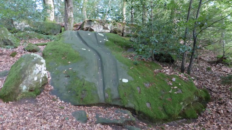 Moosbedeckter Felsen im Wald bei Bollendorf.