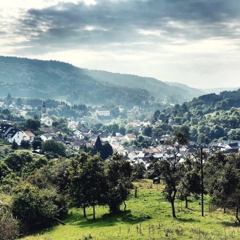 Vue sur Bollendorf depuis la colonne de Marie, © Felsenland Südeifel Tourismus GmbH / AC Krebs