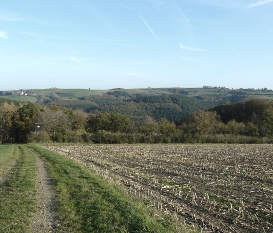 Un chemin de terre traverse un paysage rural composé de champs, de forêts et de douces collines sous un ciel bleu limpide., © Christian Calonec-Rauchfuss, Felsenland Südeifel Tourismus GmbH
