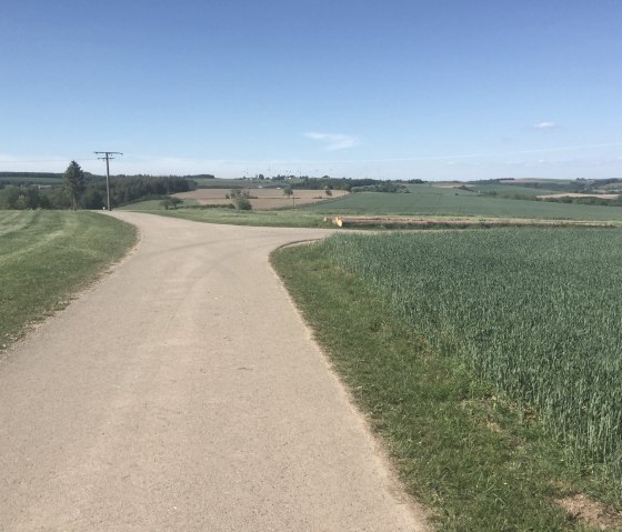 img_0987, &copy; Manuel Norta, Ammeldingen