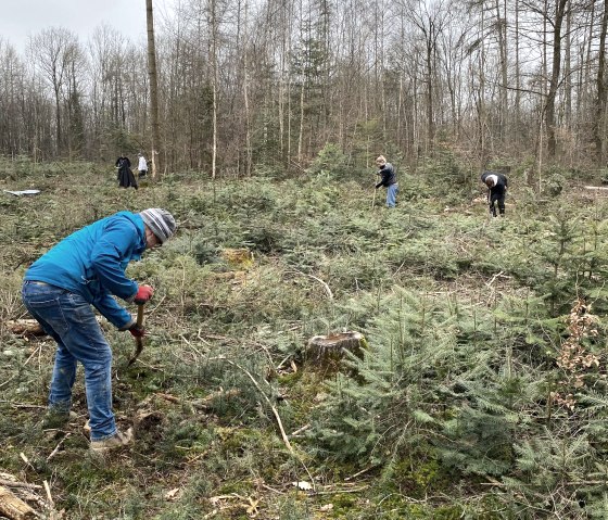 Baumpflanzaktion in Ernzen - Freiwillige Helfer, © Felsenland Südeifel Tourismus GmbH