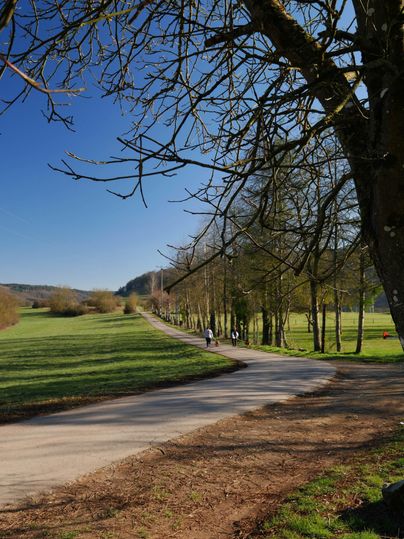 Ein malerischer Weg, umgeben von Bäumen und grünen Wiesen. Der klare Himmel im Hintergrund sorgt für eine angenehme Atmosphäre.