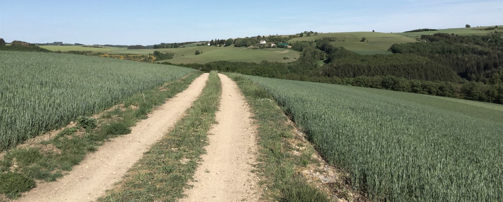 t_4, &copy; Manuel Norta, Ammeldingen