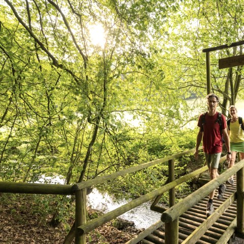 Sentier du ruisseau dans le NaturWanderPark delux, Ernst-Brücke sur l'Alfbach, © Eifel Tourismus GmbH, D. Ketz