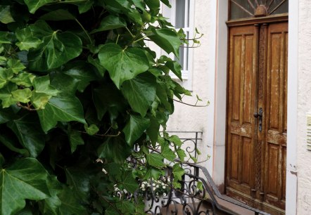 1-Ihre-Ferienwohnung-in-Neuerburg, © www.eifel-fewo.com