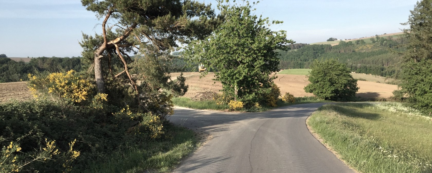 img_1071, &copy; Manuel Norta, Ammeldingen