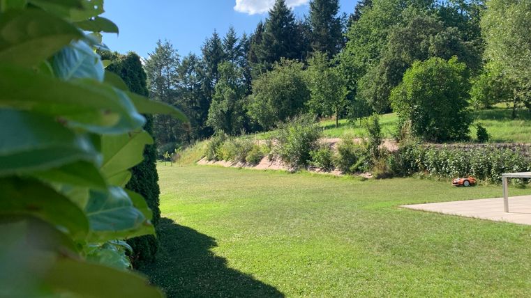 Ein grüner Garten mit Bäumen und einem klaren blauen Himmel. Die Landschaft ist gut gepflegt und lädt zum Entspannen ein.