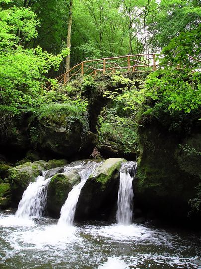 Ein schöner Wasserfall fließt über moosbedeckte Felsen. Umgeben von üppigem, grünem Wald und einem Holzsteg.