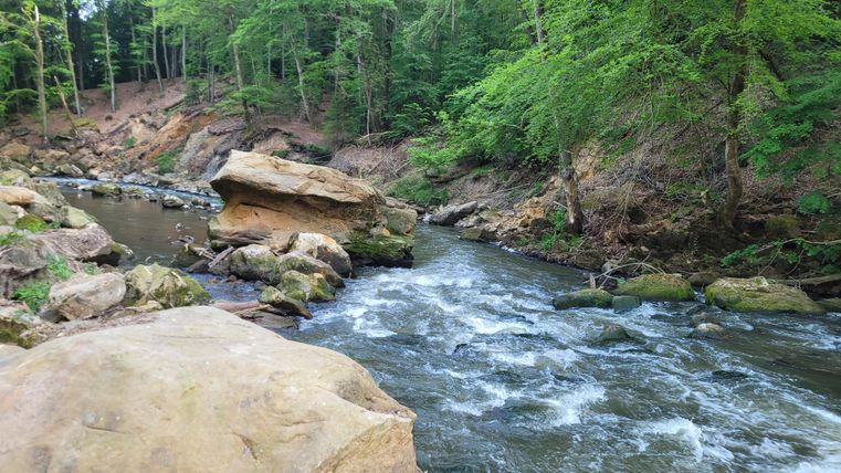 Ein ruhiger Fluss fließt durch einen bewaldeten Bereich, umgeben von großen Steinen und üppigem Grün. Die glitzernden Wasserströme laden zum Entspannen und Erkunden ein.