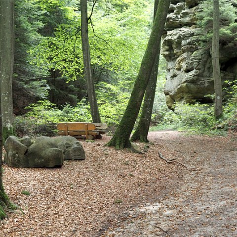 A forest path with a wooden bench and a rock formation in the background. The ground is covered with leaves, surrounded by tall trees., &copy; Volker Teuschler