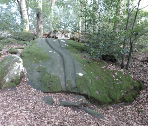 A moss-covered rock in the forest near Bollendorf, surrounded by trees and foliage. The rock has a smooth, slippery surface., &copy; Elke Wagner, Felsenland S&uuml;deifel Tourismus GmbH