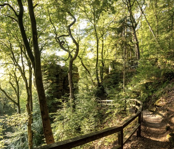 Sun-drenched forest path with railings, surrounded by green trees and rocks, near the Devil's Gorge., © Dominik Ketz