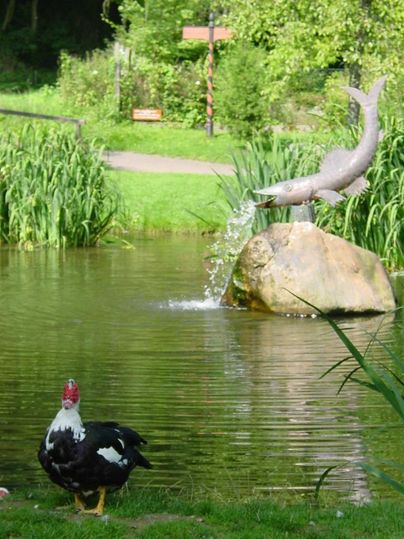 Ein Entenpaar steht am Ufer eines ruhigen Teichs mit grünen Pflanzen. Im Hintergrund spritzt ein Fisch aus einer Skulptur auf einem großen Stein.