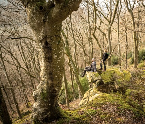 Twee mensen staan en zitten op een met mos bedekte rots in een kaal bos. De bomen zijn hoog en dicht, zonder gebladerte., &copy; Eifel Tourismus GmbH, D. Ketz