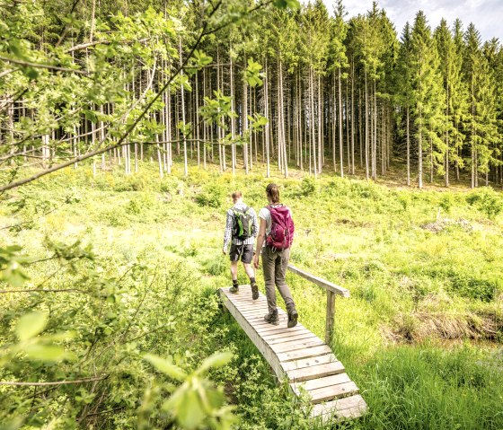 Nature hiking park deluxe Bach-Pfad Ihrenbach, © Eifel Tourismus GmbH, D. Ketz