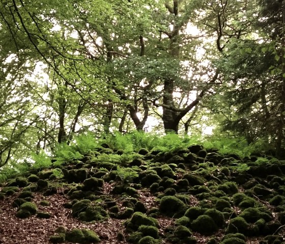 Steine der Befestigungsmauer der Wikingerburg, &copy; Felsenland S&uuml;deifel Tourismus GmbH