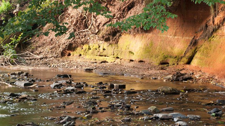 Ein kleiner Bach fließt an einer rötlichen Erdwand vorbei, umgeben von grünen Blättern und Steinen.