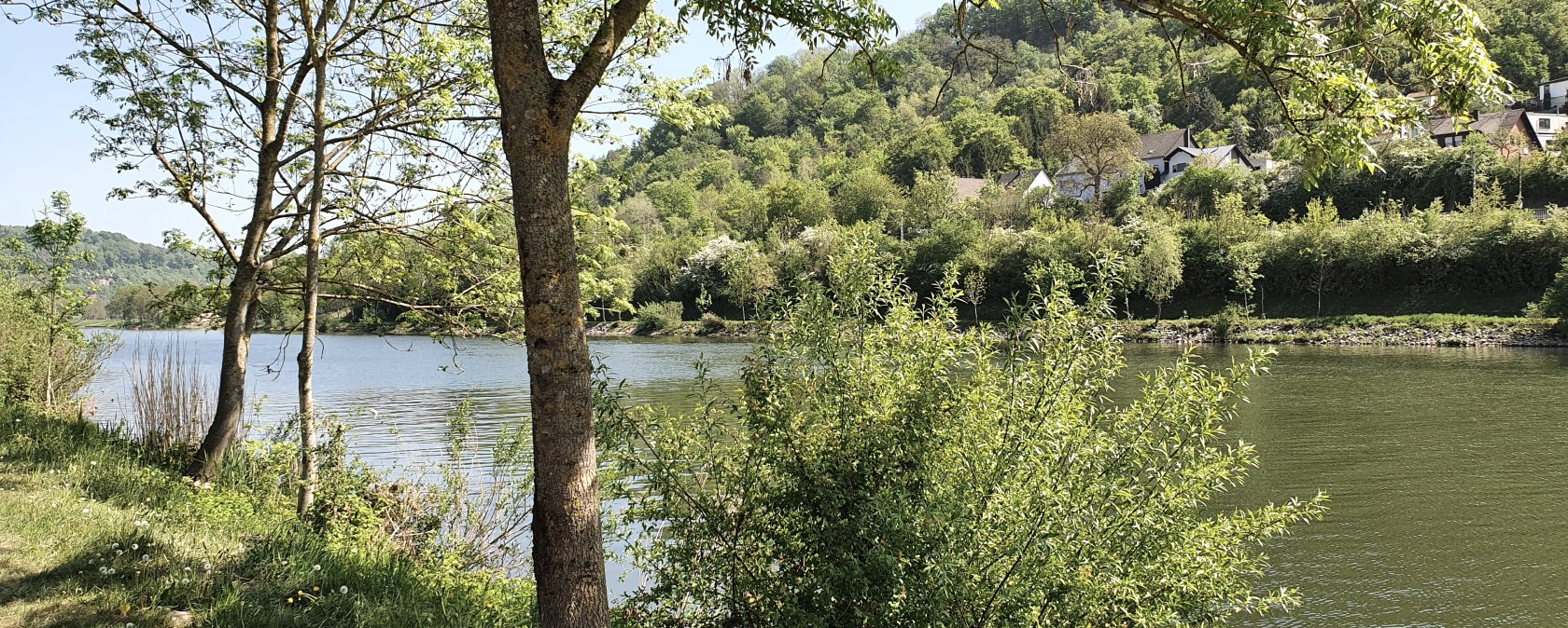 Ein Fluss fließt ruhig entlang eines bewaldeten Ufers. Im Hintergrund sind Hügel und vereinzelte Häuser zu sehen., © Tourist-Information Bitburger Land, Steffi Wagner