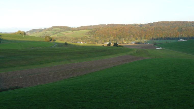 Weite grüne Landschaft mit Hügeln und Wäldern in der Ferne bei Mettendorf.
