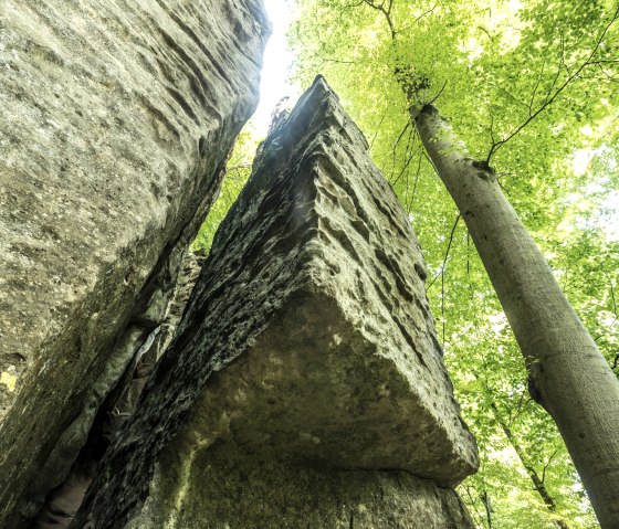 Hohe Felsen ragen in den Himmel, umgeben von grünen Bäumen. Sonnenlicht fällt durch das Blätterdach.