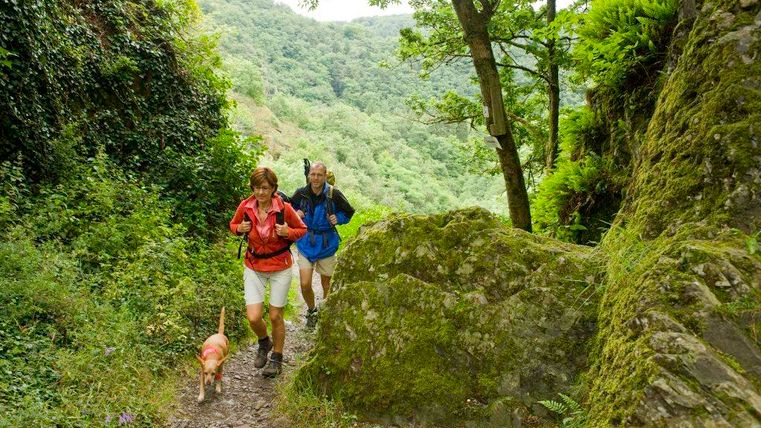 Twee wandelaars, een man en een vrouw, lopen met een hond op een smal pad in een groene vallei. Het landschap is weelderig en bergachtig met veel planten.