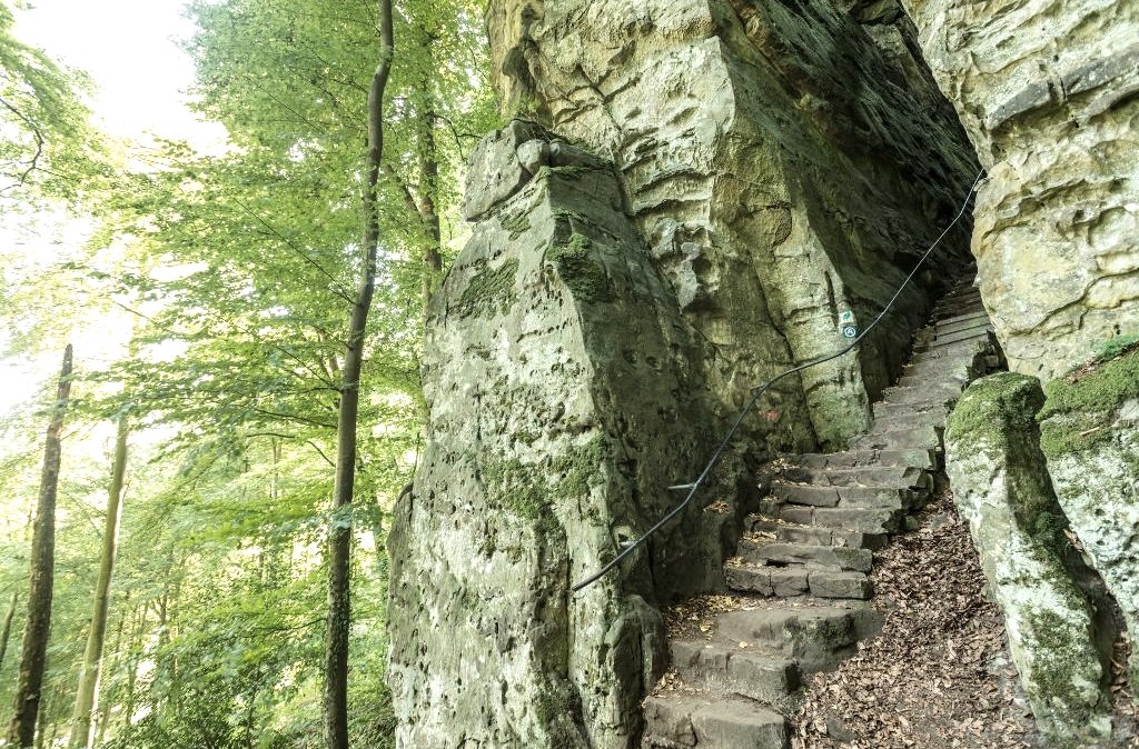 Eine steile Steintreppe führt durch eine bewaldete Schlucht. Die Felsen sind mit Moos bedeckt, und ein Seil dient als Geländer.