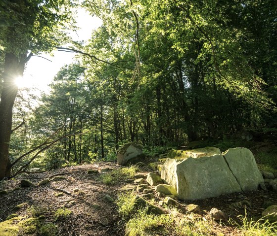 Steinkistengrab im Wald bei Schankweiler, © Eifel Tourismus GmbH, D. Ketz