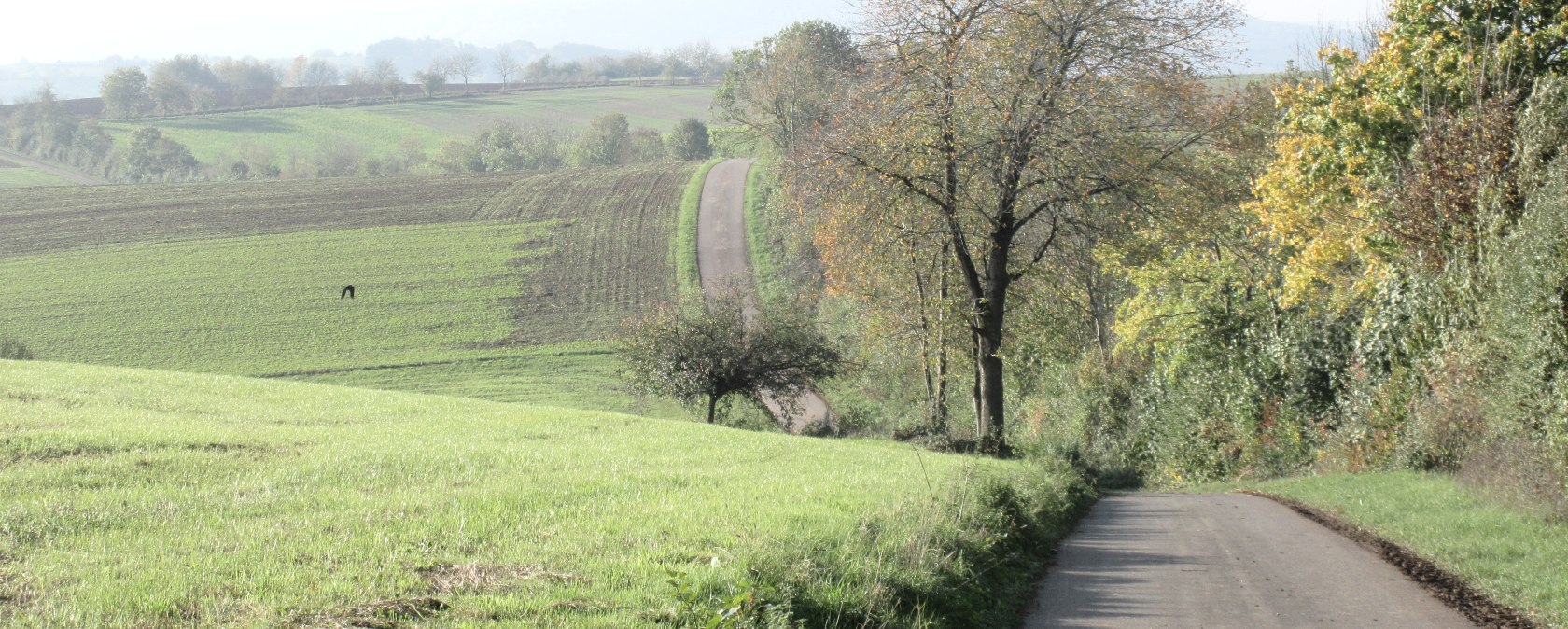 img_8409, &copy; N. Mainz