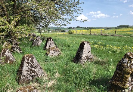Wanderweg Islek, © TI Islek