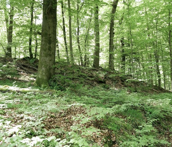 the-wall-of-the-lower-castle, © Elke Wagner, Felsenland Südeifel Tourismus GmbH